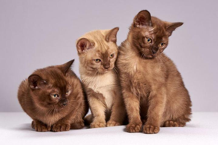 Die Unterkunft Steht Ab Sofort Nicht Mehr Zur Verfugung Appartment Is Finis 1 June - Thanks For All Your Andreas & 3 Cats 吕贝克 外观 照片